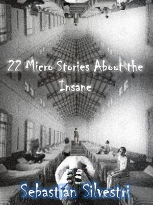 cover image of 22 Micro Stories About the Insane